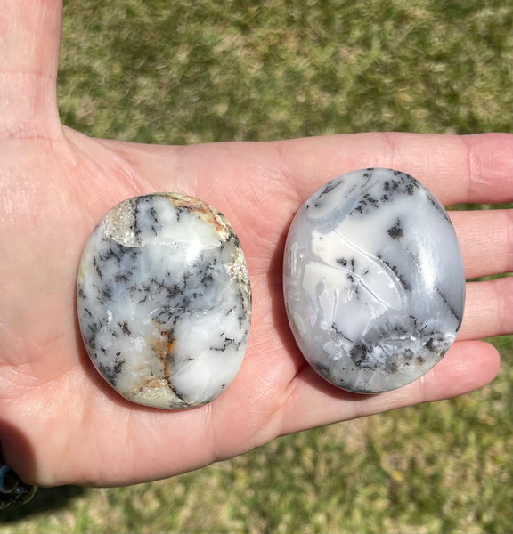 Dendritic Opal Palm Stone