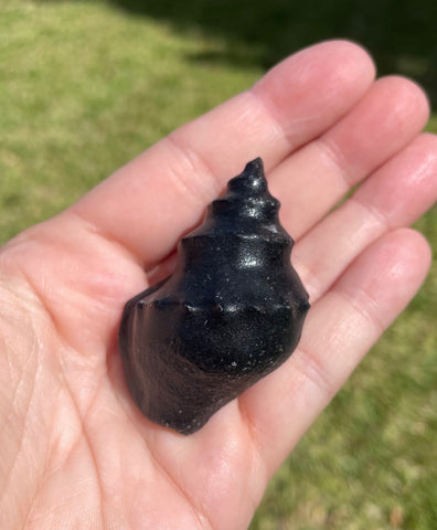 Black Obsidian Conch Shell Crystal Carving Protection
