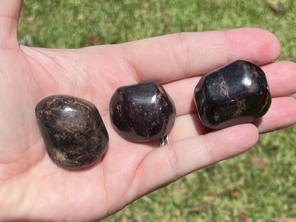 Tumbled Garnet Crystals
