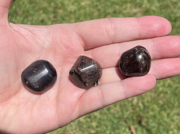 Tumbled Garnet Crystals
