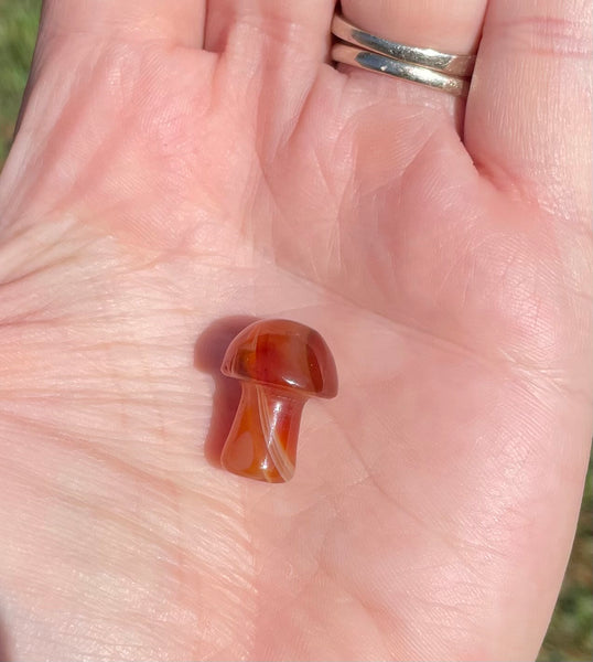 Carnelian Mini Mushroom Carving