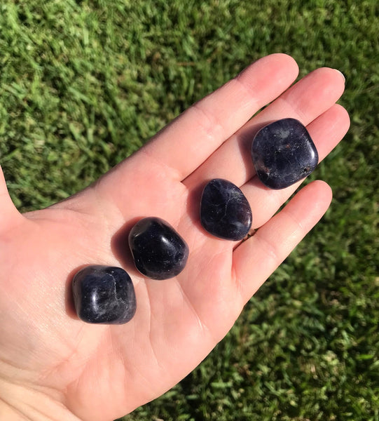 Iolite Tumbled Crystal