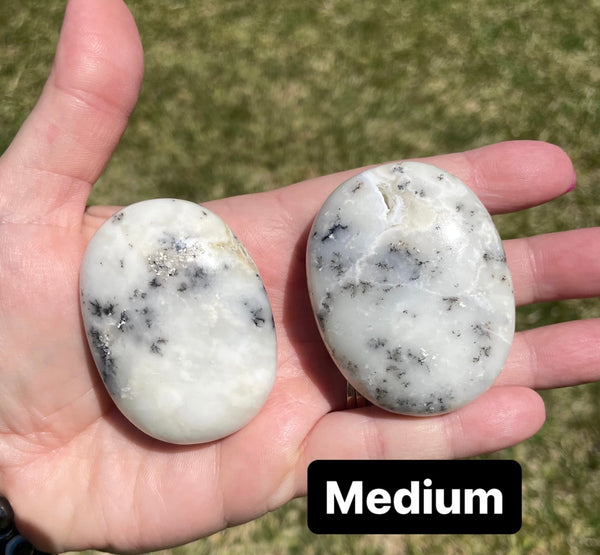 Dendritic Opal Palm Stone