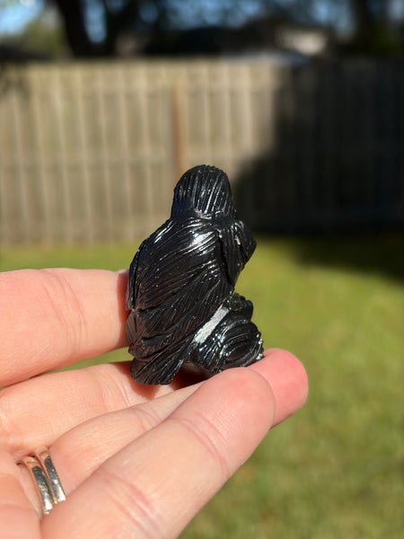 Black Onyx Small Raven Crystal Carving