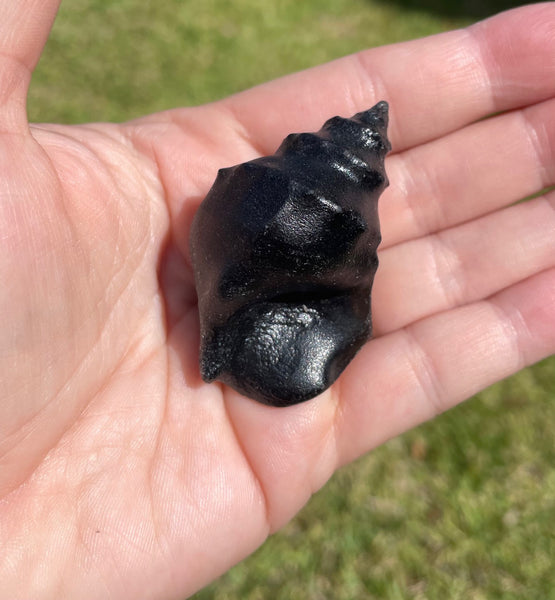 Black Obsidian Conch Shell Crystal Carving Protection