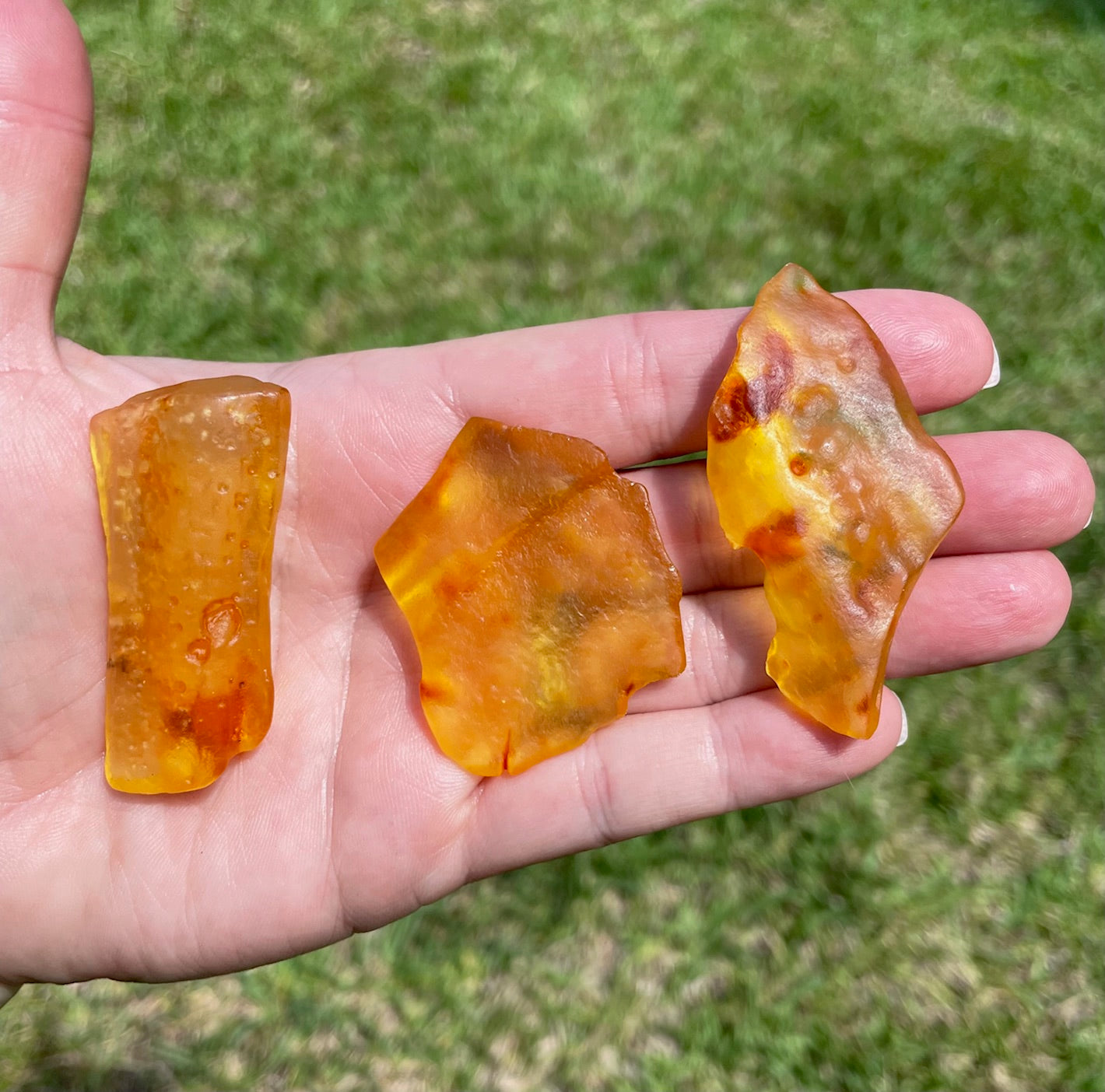 Colombian Amber