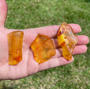 Colombian Amber