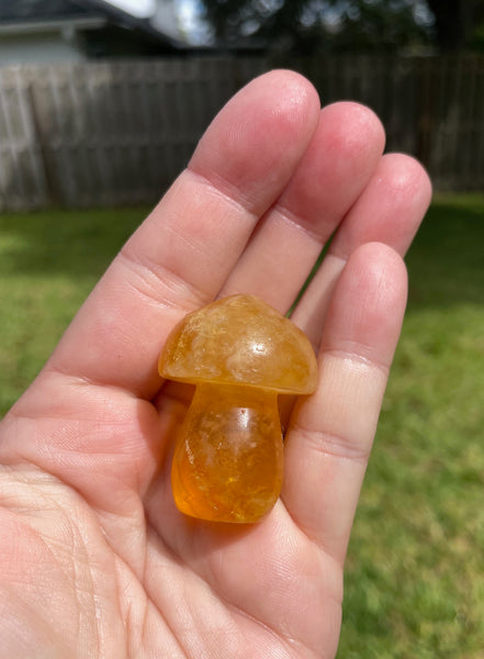 Fluorite Crystal Mushroom