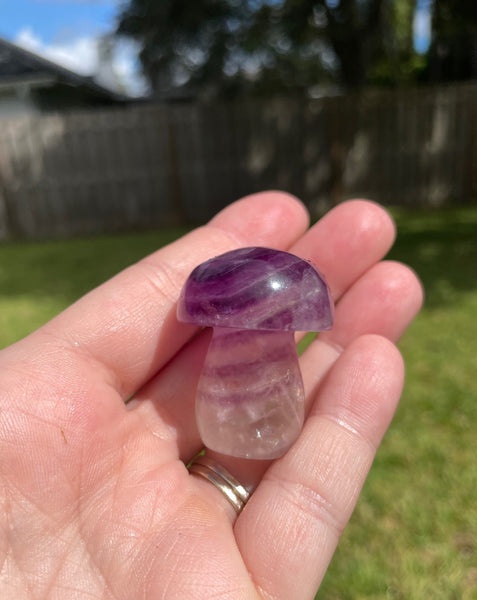 Fluorite Crystal Mushroom