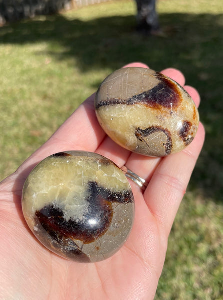 Septarian Crystal Palm Stone