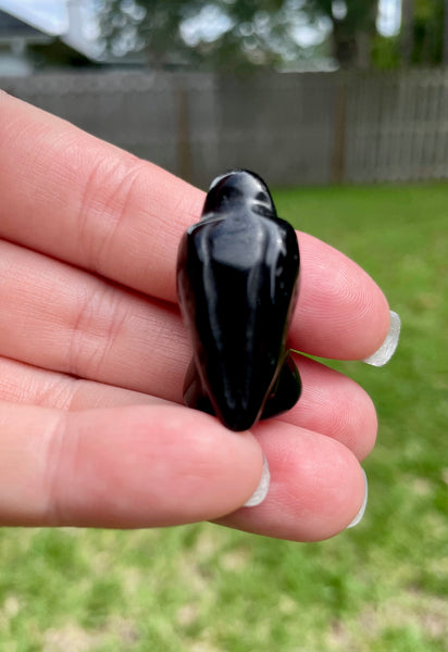 Black Tourmaline Mini Raven Crystal Carving