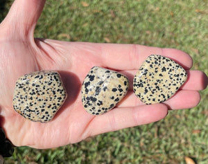 Dalmatian Jasper Tumbled Crystal Large