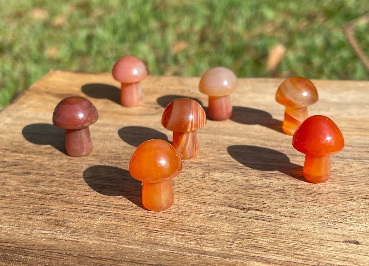 Carnelian Mini Mushroom Carving