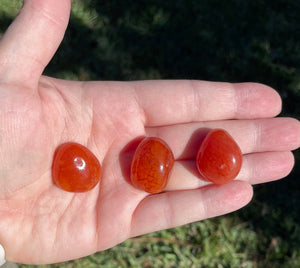 Carnelian Tumbled Crystal