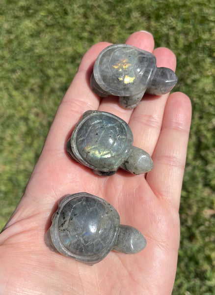 Labradorite Turtle Crystal Carving