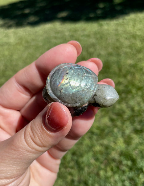 Labradorite Turtle Crystal Carving