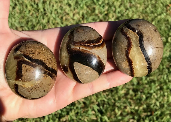 Septarian Crystal Palm Stone