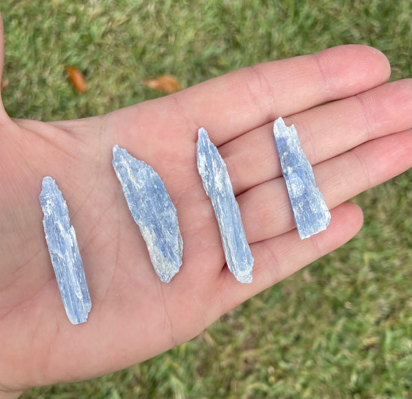 Blue Kyantite Blades Crystals