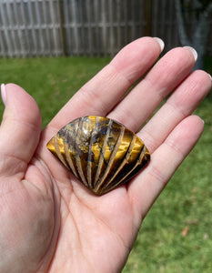 Tiger's Eye Shell Crystal Carving Personal Power Protection Manifestation