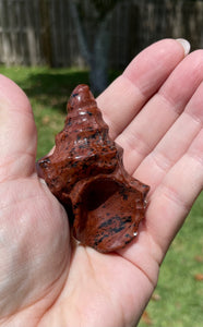 Mahogany Obsidian Conch Shell Crystal Carving Protection