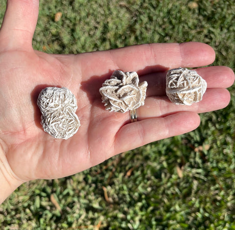 Desert Rose Selenite