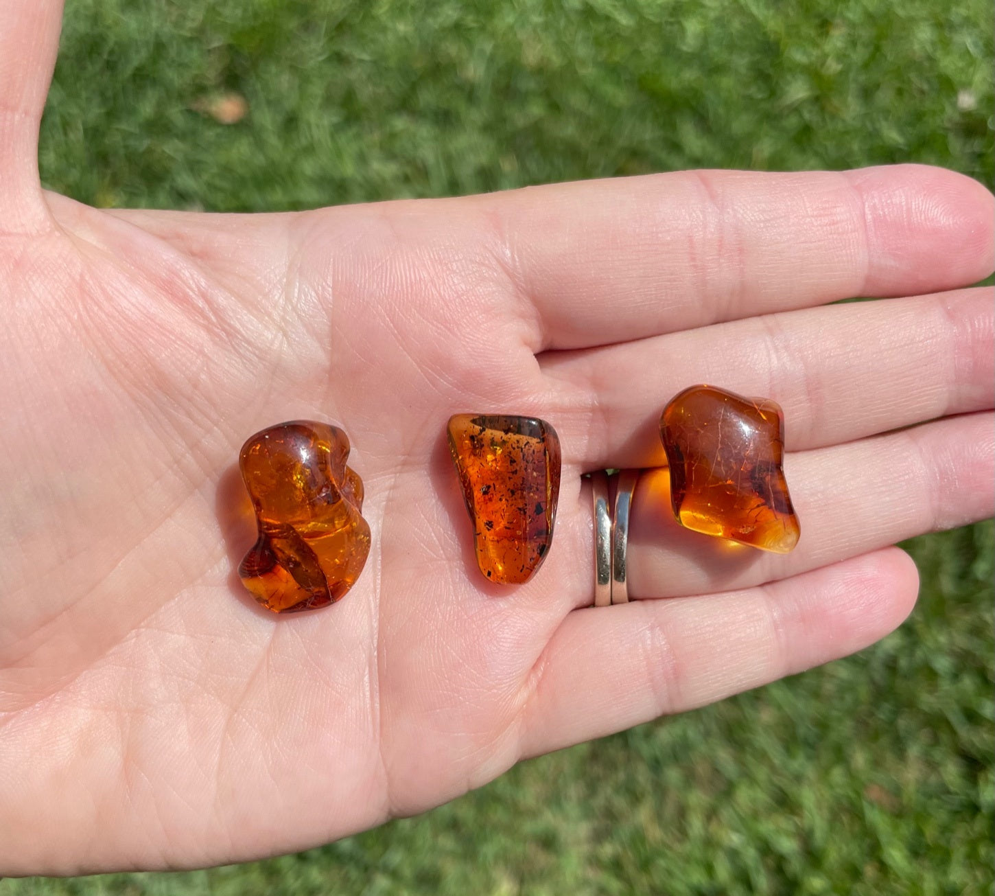 Baltic Amber Tumbled