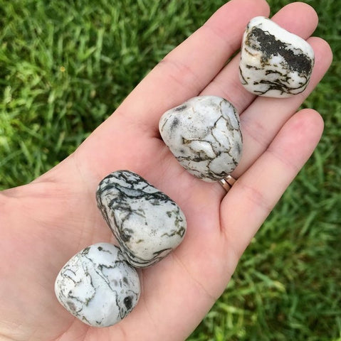 Tumbled Tree Agate Crystal