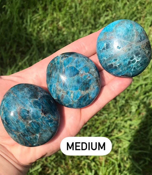 Medium Small Blue Apatite Polished Palm Stone